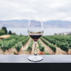 wine-tasting